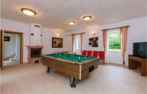 a living room with a pool table and a tv at Pet Friendly Home In Valbandon With Kitchen in Fondole