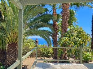 Ogród w obiekcie Exclusiva Villa con Piscina Privada, Villa Juandana