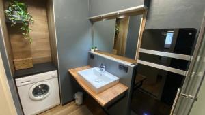 baño pequeño con lavabo y lavadora en City Apartment Schladming, en Schladming