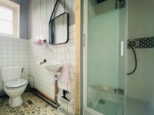 uma casa de banho com um WC, um lavatório e um chuveiro em Chambre ZEN proche de Bagnoles de lOrne em La Ferté-Macé