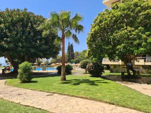 A garden outside IRiS DEL MAR