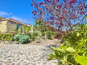 Ogród w obiekcie Exclusiva Villa con Piscina Privada, Villa Juandana