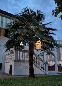 uma palmeira em frente a um edifício em Casa del Vigneto em Spinea