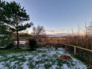 a dog laying in the snow next to a fence at Tigh Eilidh (The Cabin on the Hill) in Breakish