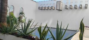 a swimming pool with plants next to a white wall at Isla vancouber in Acapulco