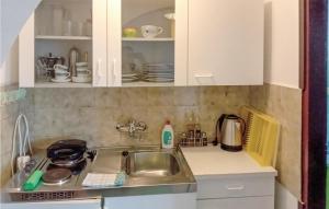eine Küche mit einer Spüle und einer Arbeitsplatte in der Unterkunft Nice Apartment In Martinscica With Wifi And 1 Bedrooms in Martinšćica