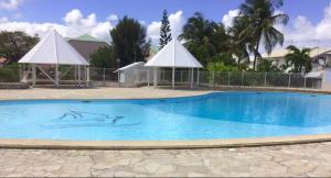 圣弗朗索瓦Oasis de détente - Appartement Le Colibri Blanc的一座大型游泳池,里面的水里有海豚 更多11张照片