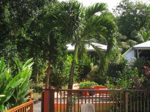 a garden with palm trees and a wooden fence at L'ESCALE TROPICALE in Bouillante