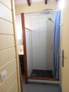 La salle de bains est pourvue d'une douche avec un rideau de douche bleu. dans l'établissement L'ESCALE TROPICALE, à Bouillante