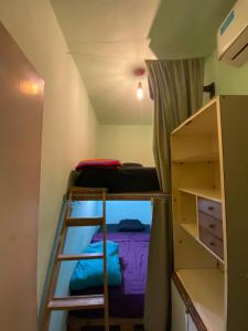 a room with two bunk beds and a ladder at Chenille House HOSTAL con jardín y AC in Munro