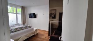 TV a/nebo společenská místnost v ubytování XuBa ApartmentRooms Messe Wien Prater