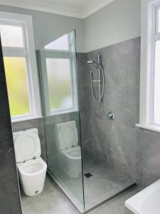 a bathroom with a toilet and a glass shower at Central Hut Villa in Lower Hutt