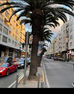 a palm tree on the side of a city street at Cosy appartement in Casablanca