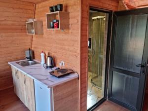 eine Küche mit einem Waschbecken und einer Dusche in einer Kabine in der Unterkunft Cottage Tvishi Near Khvamli Mountain in Tvishi
