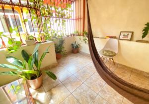 a room with a mirror and some plants in it at Casa ALOA Ixtapa in Ixtapa