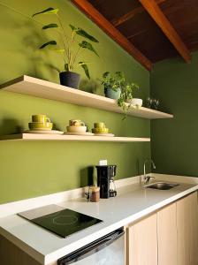 a kitchen with green walls and a sink and shelves at Tranquil Master Suite, Your Private Escape in Medellín