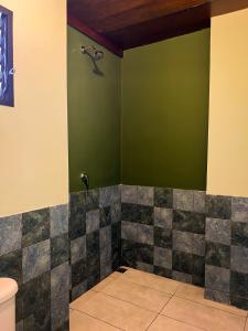 a bathroom with a green wall and a toilet at Tranquil Master Suite, Your Private Escape in Medellín