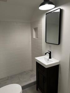 ein Badezimmer mit Waschbecken und Spiegel an der Wand in der Unterkunft Blue Vieira Cottage in Fennville + 39 Fotos