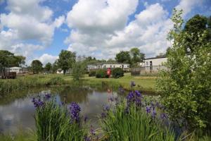 a pond with purple flowers in front of a building at Modern Caravan With Large Decking Area And Wifi, Ref 60057ch in Saxmundham