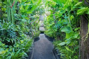 Сад в Seminyak Sanctuary Villa by Ini Vie Hospitality