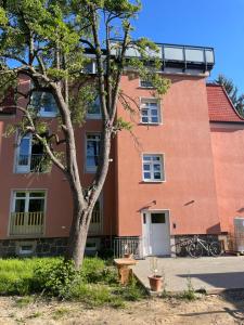 un bâtiment avec un arbre en face dans l'établissement Apartment-Haus Landeskrone, à Dresde