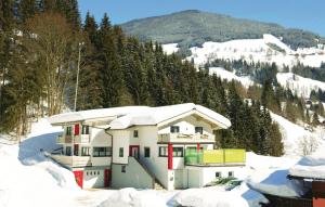 ein Haus auf einem schneebedeckten Berg mit Bäumen in der Unterkunft Cozy Apartment In Viehhofen With Ethernet Internet in Viehhofen