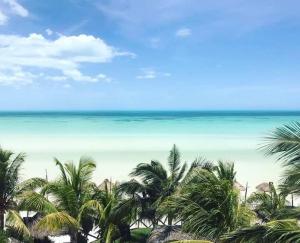 a view of a beach with palm trees and the ocean at Arte Sano Hotel - Adults only in Holbox Island