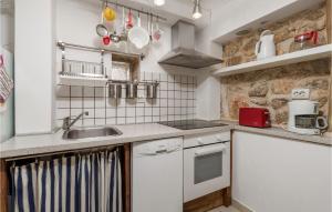 małą kuchnię z białymi urządzeniami i zlewem w obiekcie Pet Friendly Home In Brzac With Wifi w mieście Brzac +35 zdjęć