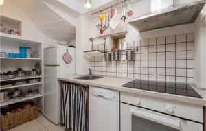 Kuchnia lub aneks kuchenny w obiekcie Pet Friendly Home In Brzac With Wifi