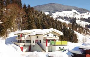 a house in the snow with a mountain at Beautiful Apartment In Viehhofen With 4 Bedrooms And Internet in Viehhofen