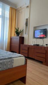 リウネにあるBabylon Apartments on Petliury Streetのベッド1台、薄型テレビが備わるホテルルームです。