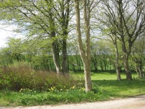 Paesaggio naturale nelle vicinanze of country house