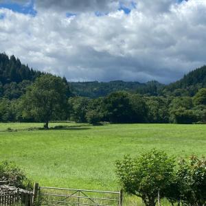 a large green field with a fence and trees at Tyddyn Bach Bunkhouse in Betws-y-coed