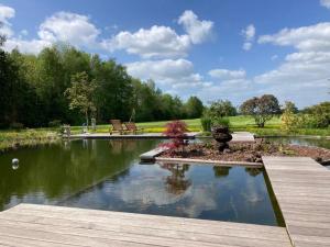 Un estanque en un parque con un banco. en Kleine Huisje en Ruinerwold