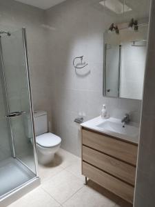 y baño con aseo, lavabo y ducha. en CAL JAN - SOLANA en Bellver de Cerdanya 
