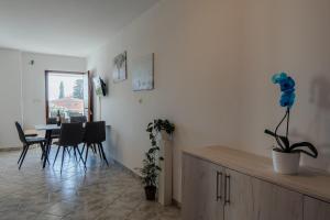Fotografie z fotogalerie ubytování APARTMANI JAMAN v destinaci Vrsi