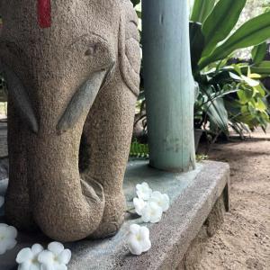 een standbeeld van een olifant naast witte bloemen bij The Jungle House in Arugam Bay