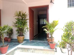 加德滿都的住宿－Janaki House，盆栽植物屋的前门
