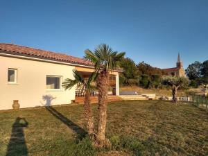 a palm tree in the yard of a house at Maison moderne dans la drome des collines in Bren