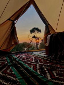 uma tenda com vista para uma árvore a partir do interior em Wanahita Camp em Gretek