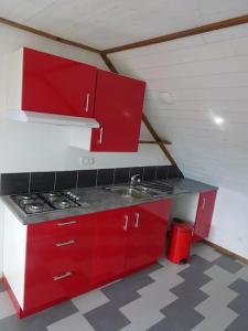 a red kitchen with a sink and red cabinets at T3 ecolo en campagne in Le Roc-Saint-André