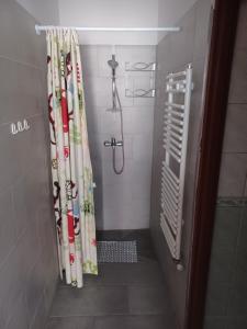 a shower with a shower curtain in a bathroom at Dom z Sauną i Jacuzzi dla dwóch rodzin Siłownia Kajaki in Gołdap