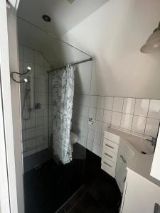 a bathroom with a shower with a shower curtain at Seaview Sefton in Timaru