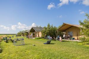 grupa namiotów na polu z ludźmi na zewnątrz w obiekcie Boerderij Halfweg w mieście West-Terschelling