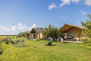 a group of tents in a field with people outside at Boerderij Halfweg in West-Terschelling