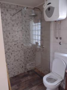 łazienka z prysznicem i toaletą w obiekcie Apartment Casa Topic w mieście Blace