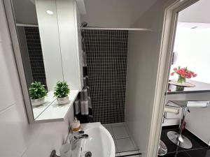een badkamer met een wastafel en een spiegel bij Accommodation Tomcuk in Kotor
