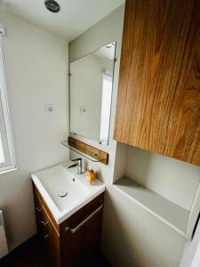 a bathroom with a sink and a mirror at Chalet Lieblingsplatz in Lauwersoog