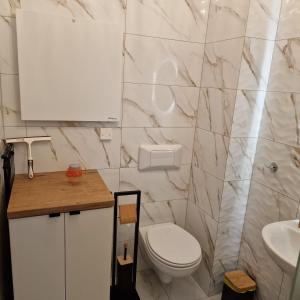 a bathroom with a toilet and a sink at Apartament Króla Sielaw - Mikołajki in Mikołajki