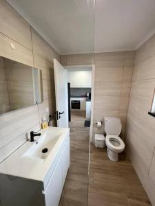 La salle de bains est pourvue d'un lavabo et de toilettes. dans l'établissement Casa do Avô Fernando, à Agualva